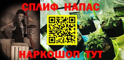 трава Гусиноозёрск